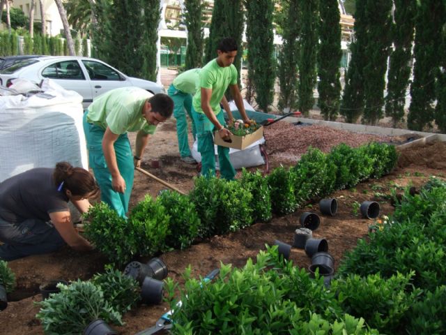 La Agencia de Desarrollo colaborá en el mantenimiento de los jardines de las guarderías