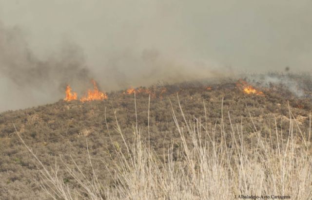 Estabilizado el incendio del Barranco de Orfeo que ha quemado 120 hectáreas de matorral