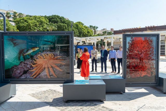 Cartagena descubre el significado del color en el mundo en una exposición de fotografías de National Geographic