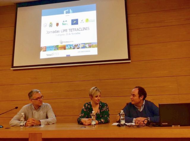 El proyecto europeo ´Life Tetraclinis´ logra la custodia de 200 hectáreas para conservar el ciprés de Cartagena
