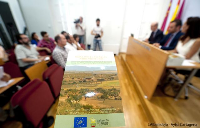 El Garbancillo de Tallante añade otro tesoro a Cartagena