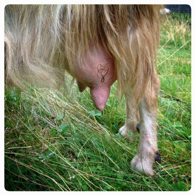 Instagram y la sala La Ventana de Gras muestran el #vikingprojeCT de La Mar de Músicas