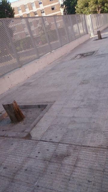 SPCT exige mejoras en el entorno del parque García Pagán