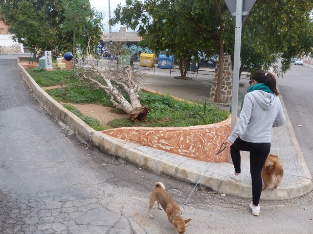 IU-verdes exige el inmediato arreglo de una plaza de barrio Peral abandonada desde hace años