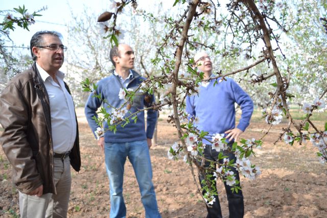 Investigadores de la UPCT desarrollan una plataforma para control remoto y supervisión a distancia del riego deficitario