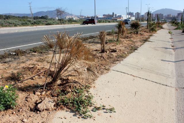 Transparencia y control son las bases en las que MC asentará su gestión pública