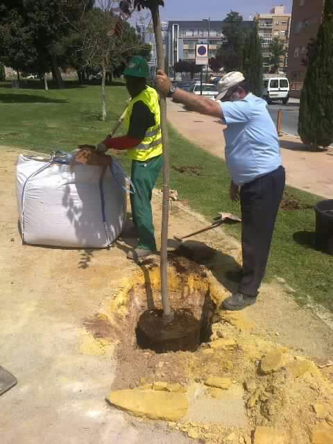 El Ãrbol de la Vida, un homenaje a los fallecidos por cáncer