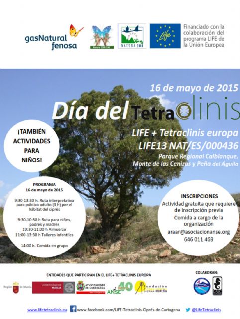 Un día para recordar la importancia del ciprés de Cartagena