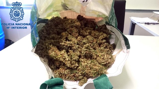 Detenido el presidente de una asociación cannábica por  tráfico de drogas