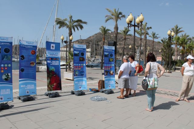 WWF invita a embarcarse para proteger los fondos marinos