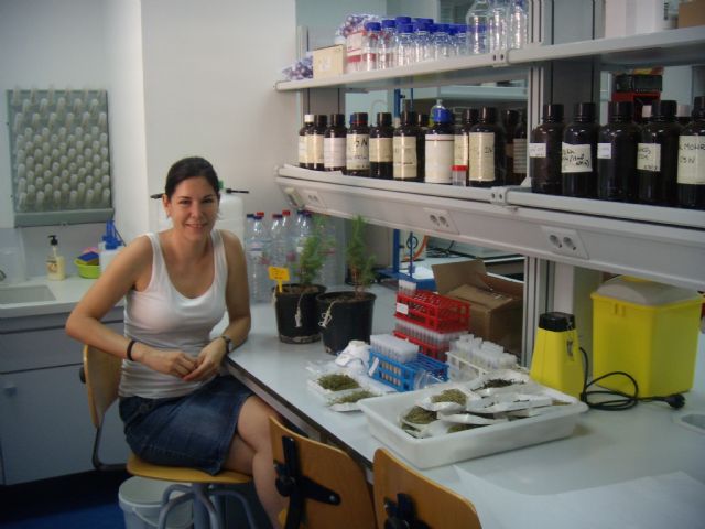 La UPCT demuestra la idoneidad del pino carrasco y el ciprés para revegetar suelos mineros contaminados