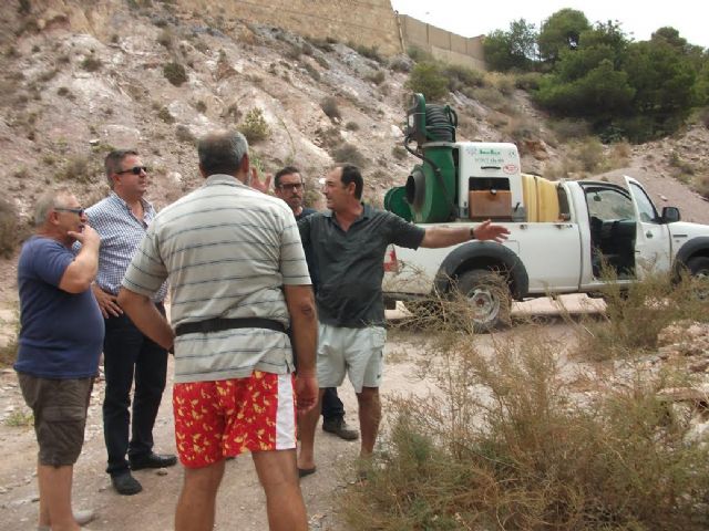 El Ayuntamiento pone remedio a la proliferación de mosquitos tigre en la Algameca Chica