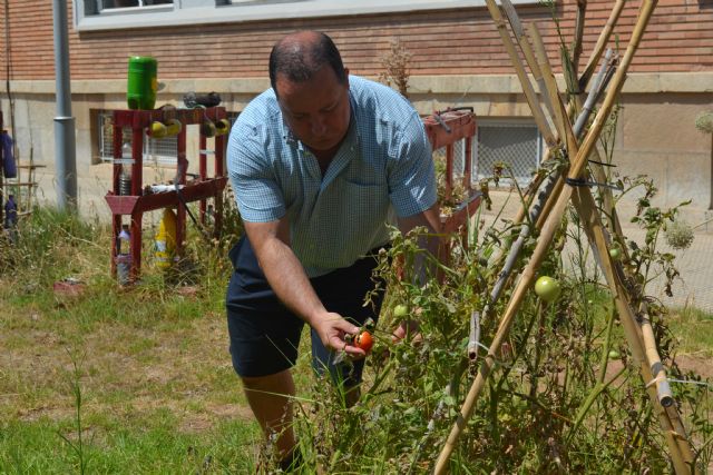 Un curso de verano de la Politécnica enseña este mes cómo cultivar espacios reducidos