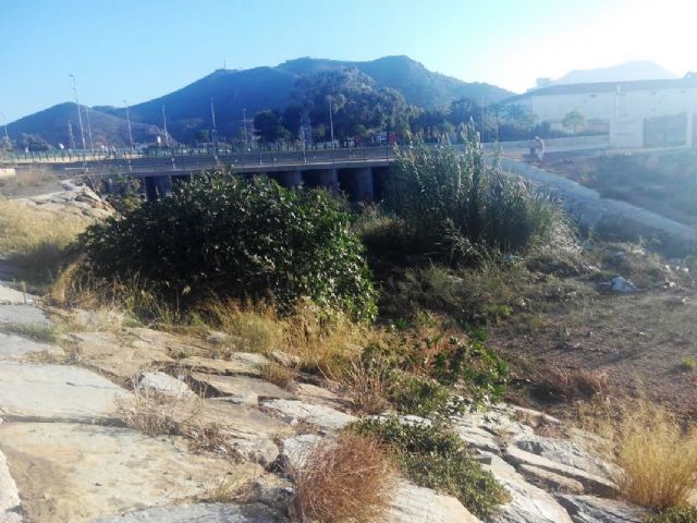 Denuncian que el cauce de la rambla junto a la redonda del colegio San Vicente de Paul presenta un estado lamentable