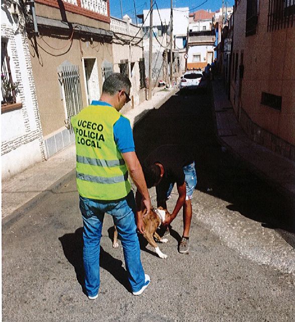 Policía Local y CATAD colaboran en una treintena de intervenciones en lo que va de año