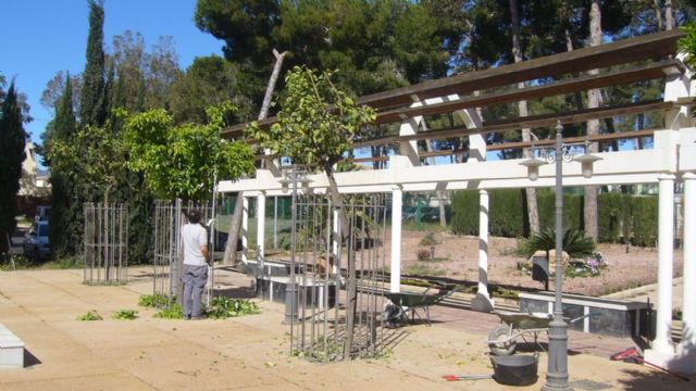 La vicealcaldesa visitará a los alumnos del programa Empleo Saludable