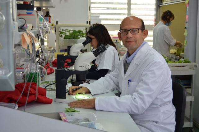 El catedrático de Producción Vegetal de la UPCT, Pablo Bielza, nuevo presidente de la Sociedad Española de Entomología Aplicada