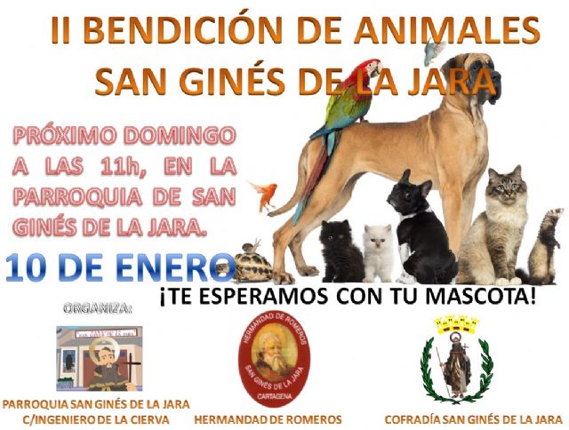 II bendición de animales en San Ginés de la Jara
