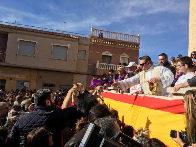 La consejera de Cultura y Portavocía participa en la celebración de la festividad de San Antón en Cartagena