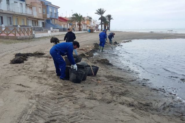 Avanzan a buen ritmo los trabajos de limpieza de las playas del Mar Menor de cara a Semana Santa