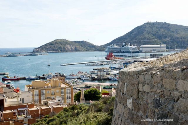 El Cerro de los Moros se reforestara con un millar de ejemplares de variedades autoctonas