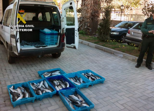 La Guardia Civil decomisa 100 kilos de pescado en una furgoneta de venta ambulante