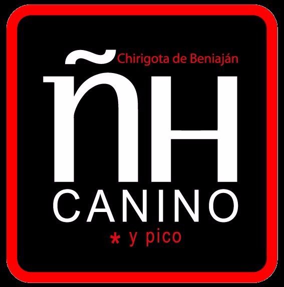 La Chirigota de Beniaján 'HOTEL CANINO' en el Concurso Regional de Chirigotas de Cartagena