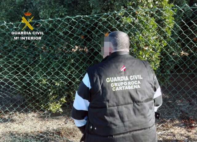 La Guardia Civil sorprende a un grupo delictivo mientras sustraía naranjas en Cartagena