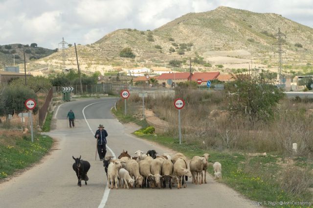 El Ayuntamiento destina más de 100.000 euros para acciones en el medio rural a través de Campoder