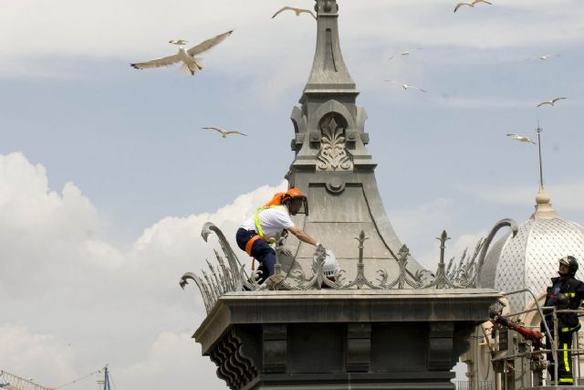 El Ayuntamiento cubre el servicio de desinsectación, desratización y control de palomas y gaviotas
