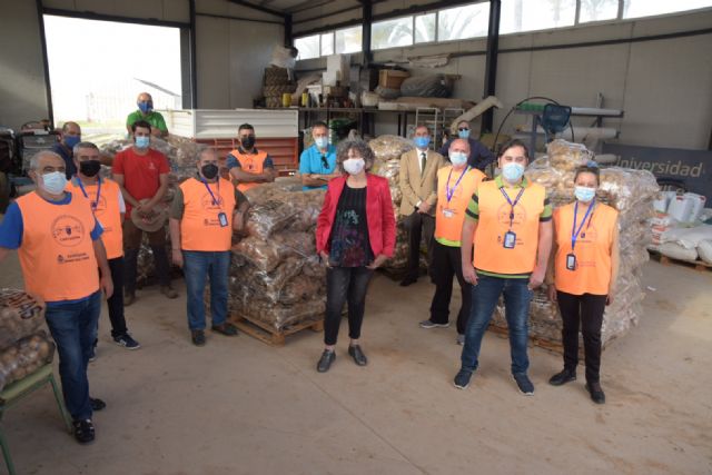 La UPCT dona al Banco de Alimentos los 16.000 kilos de patatas de un ensayo de un proyecto europeo