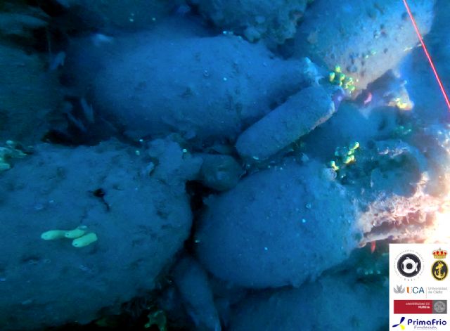 CORI presenta en ARQUA los resultados preliminares del Proyecto Aladroque