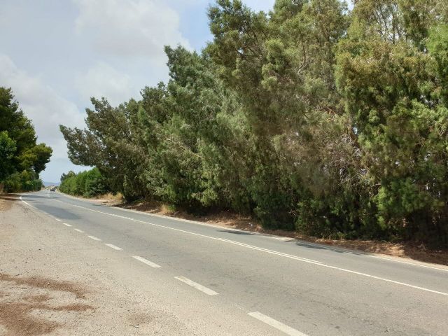 MC denunciará la desidia de los gobiernos local y murciano ante la inseguridad que representa un tramo de la RM-F36