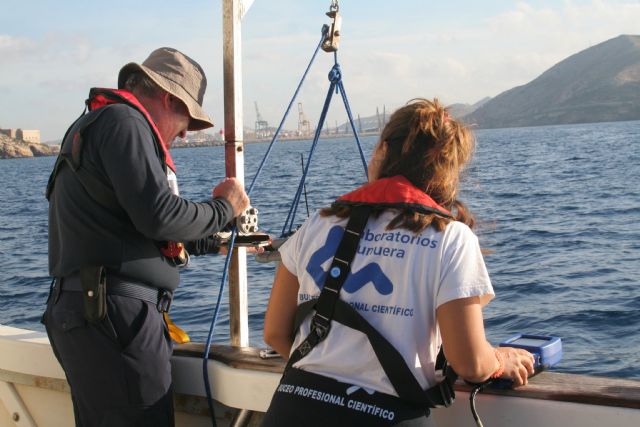 Los expertos confirman la mejora de la calidad de las aguas en el Puerto de Cartagena