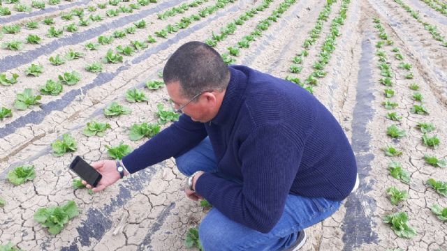 Investigadores y empresas crean la plataforma Genhidro para facilitar una fertirrigación precisa