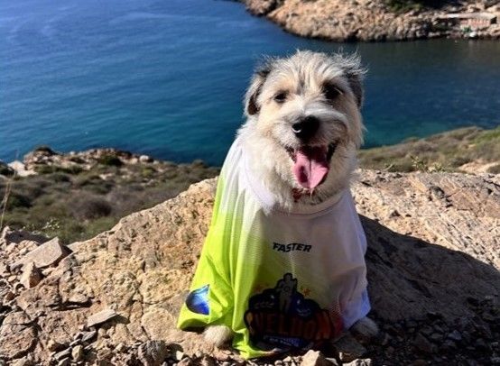 La Ruta de las Fortalezas se convierte en la primera carrera de España donde habrá perros de asistencia sanitaria