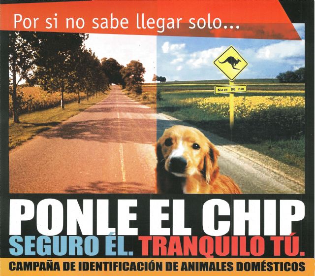 Calidad de Vida continúa con la campaña para registrar a perros, gatos y hurones