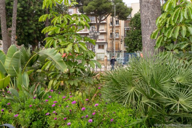 Los ciudadanos ya pueden colaborar con el Ayuntamiento en la elaboración del inventario digital de jardines del municipio