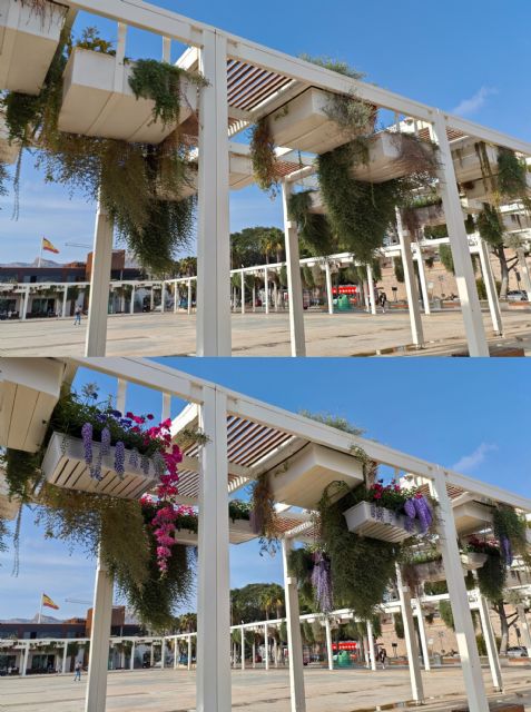 La APC activa el Proyecto de Refuerzo para revitalizar los espacios públicos del Puerto y su fachada marítima con jardinería y reposición de marras