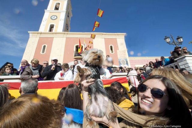 San Anton programa mas de diez dias de actos en honor al patron protector de los animales