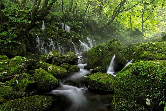 La Universidad Politécnica de Cartagena a la vanguardia del Turismo Sostenible y la Economía Azul, para impulsar la Recuperación y Transformación