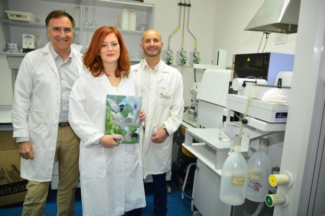 Rotar cultivos con caupí, ‘receta UPCT’ para mejorar el rendimiento y reducir los fertilizantes nitrogenados