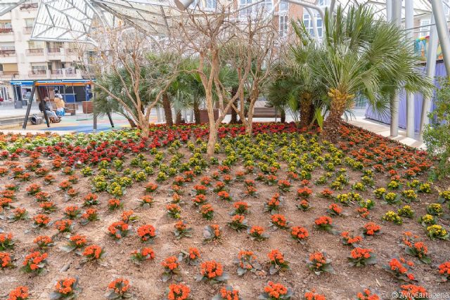 Seis mil nuevas flores adornan el jardín de la Plaza del Rey