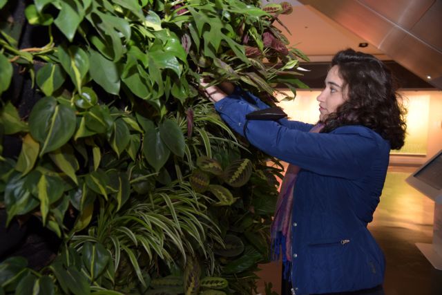 Jardín vertical para probar la mejora de la calidad del aire en interior de un centro comercial de Cartagena