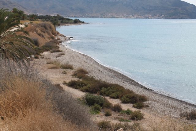 La Demarcacion de Costas saca a informacion publica la creacion de una playa canina municipal entre Isla Plana y San Gines