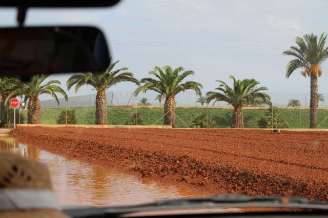 Cs advierte que el pésimo mantenimiento de las cunetas provoca la inundación en algunos tramos de carretera
