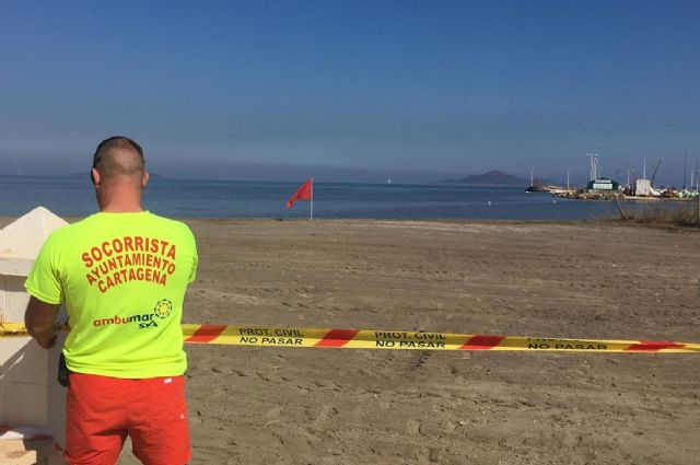 Mejora la calidad de las aguas en Los Nietos, Estrella de Mar y Los Urrutias, aunque permanecen cerradas preventivamente por la presencia de arrastres