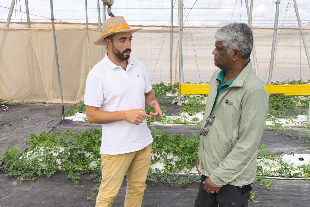 Mejoran la calidad del hinojo marino y la rúcula reutilizando agua, nutrientes y residuos agroindustriales