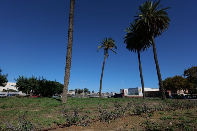 El Ayuntamiento acomete nuevas mejoras de riego y plantas en la rotonda de 1900
