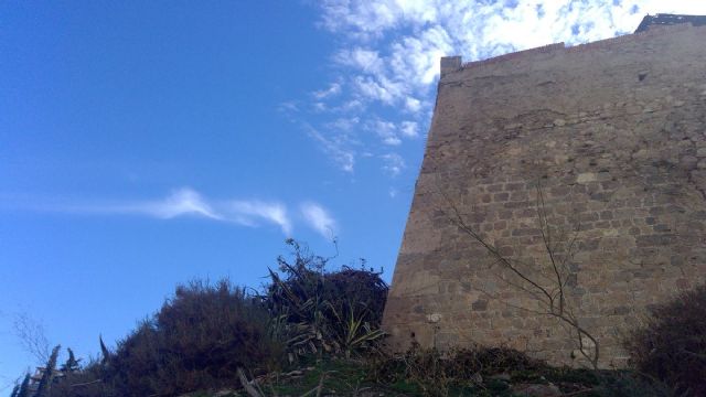 Cultura y Patrimonio limpia de vegetacion el baluarte 24 de la Muralla Carlos III